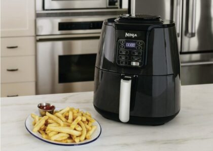 美国最佳空气炸锅推荐【TOP6】华人最爱