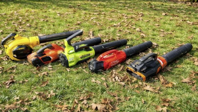 2026 年十大最佳吹叶机：各种预算和购买指南